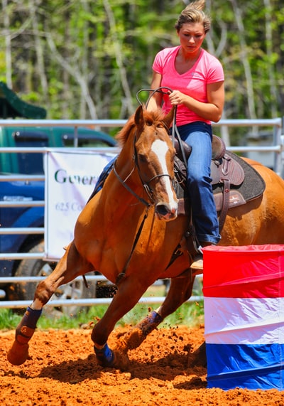 穿着粉色t恤的女孩白天骑着棕色的马